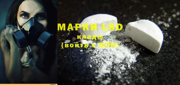 шишки Белокуриха