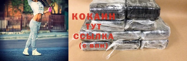 шишки Белокуриха