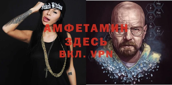 шишки Белокуриха