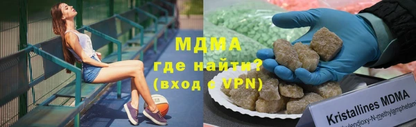 шишки Белокуриха
