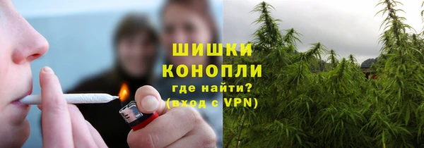 шишки Белокуриха