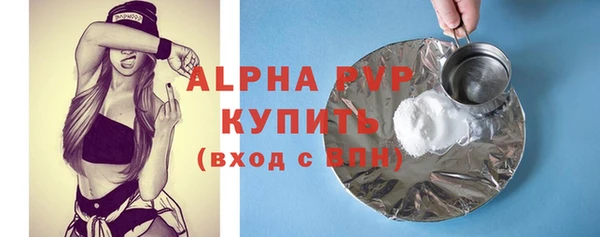 шишки Белокуриха