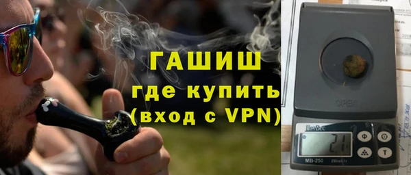 сатива Беломорск