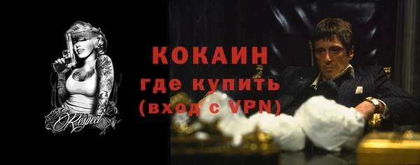 шишки Белокуриха