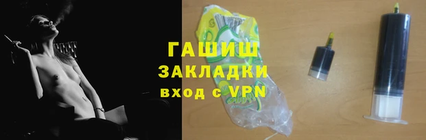 сатива Беломорск