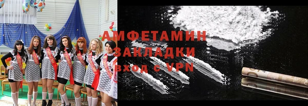 шишки Белокуриха
