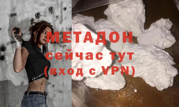 сатива Беломорск