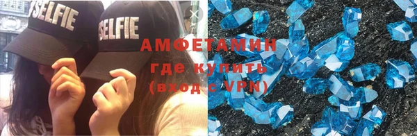 сатива Беломорск