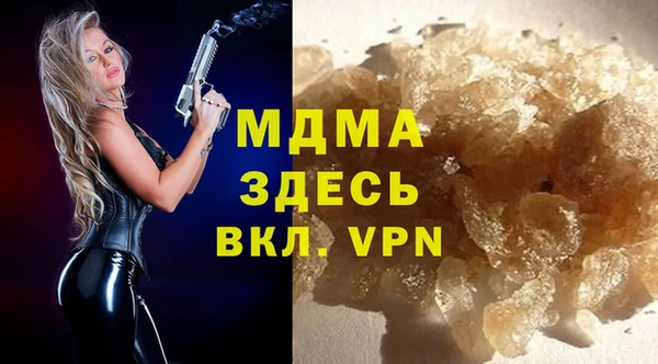 сатива Беломорск