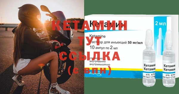 шишки Белокуриха
