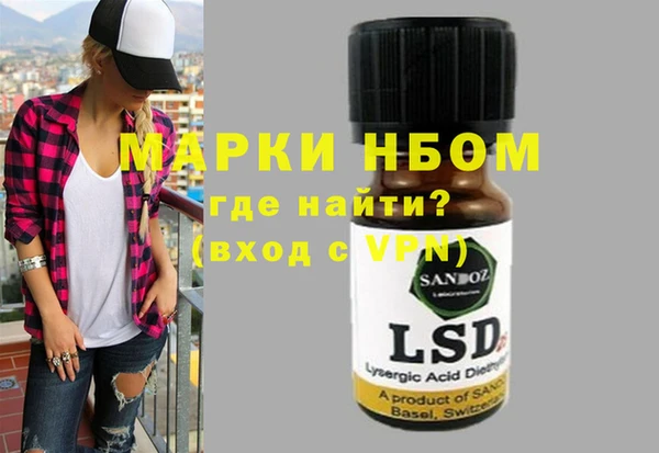 шишки Белокуриха