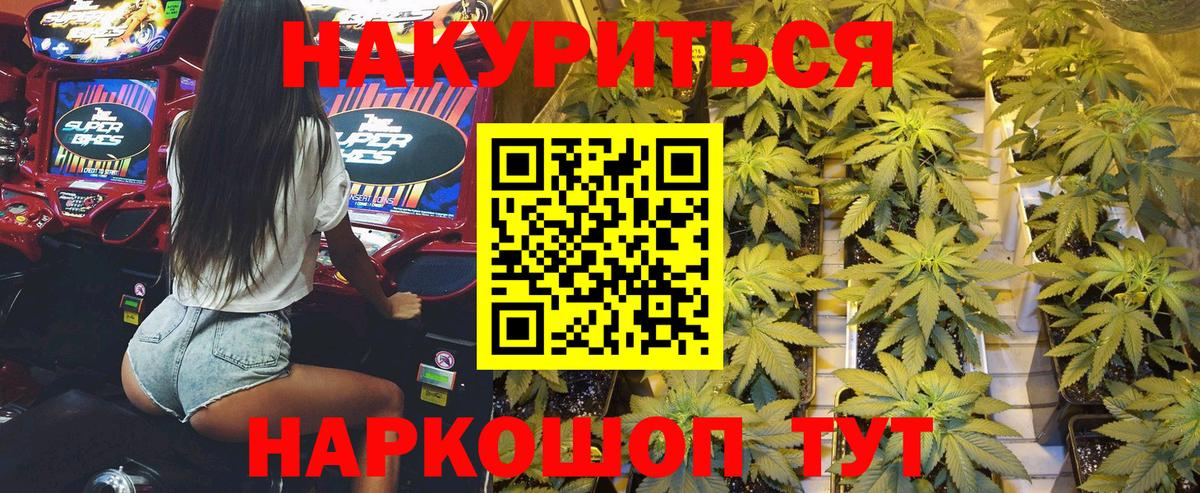 Конопля индика Дагестанские Огни